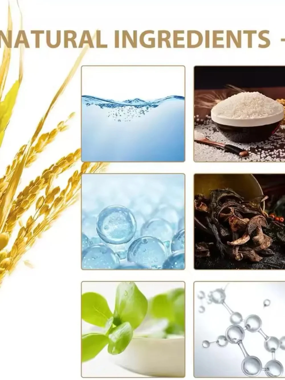 Rice Toner Hydrating Facial Toner - Beige